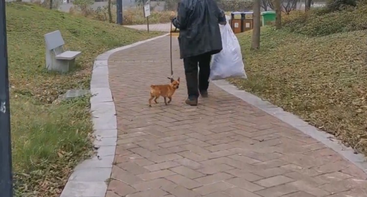 湖北：拾荒老人捡了只流浪狗从此狗狗陪他捡垃圾成了他的依靠